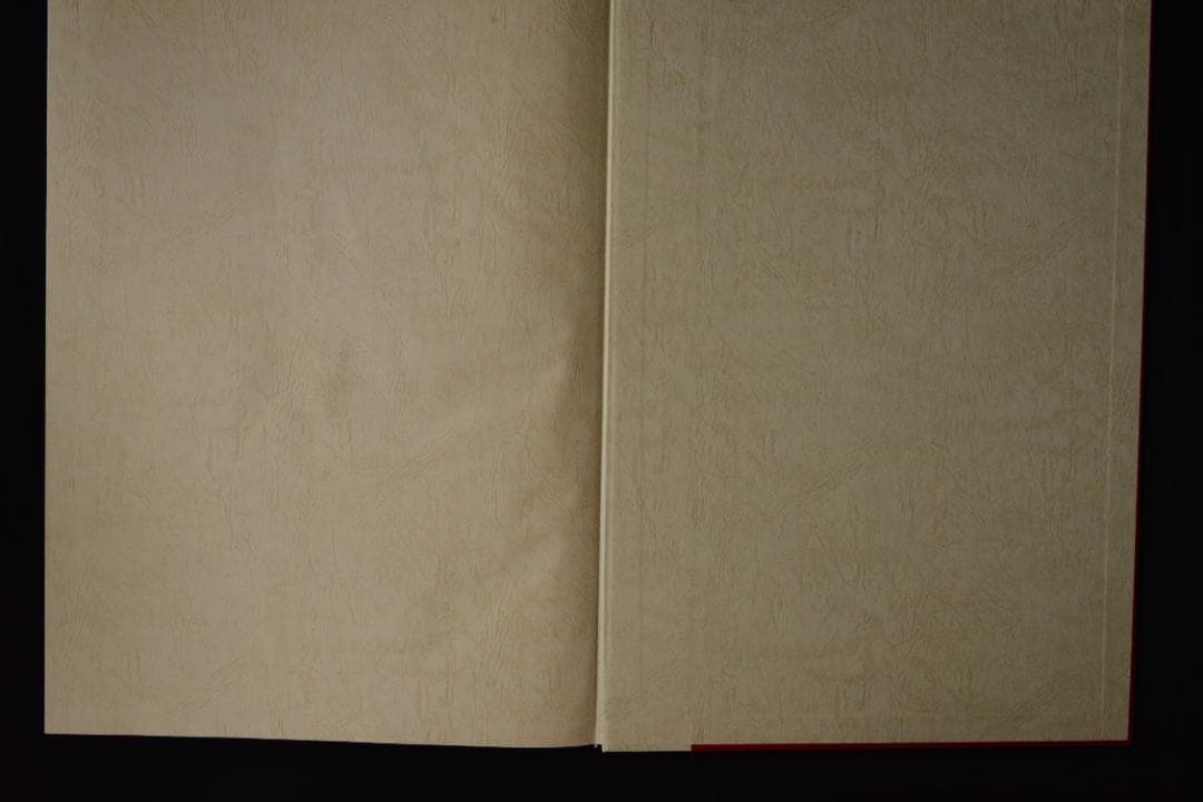 【蜜の味：TASTE OF HONEY】沢渡朔　サイン入★★大幅に値下げしました