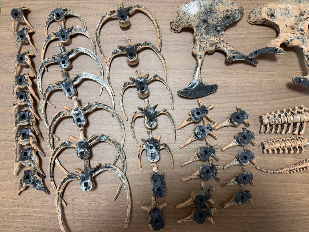 EDU-TOYS エデュトイ 恐竜工作 キット 51ピース ティラノサウルス