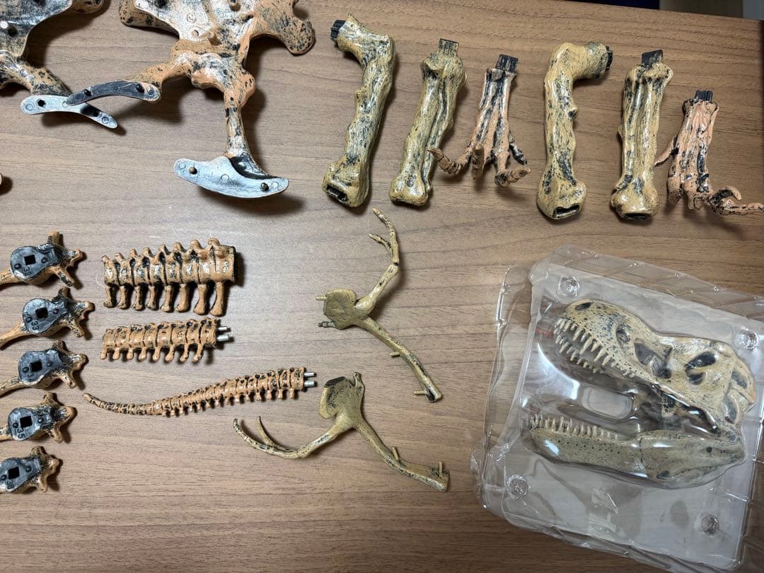 EDU-TOYS エデュトイ 恐竜工作 キット 51ピース ティラノサウルス