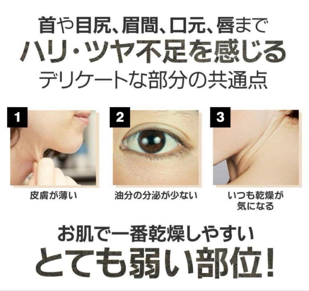 サバジ ページ　27点セット