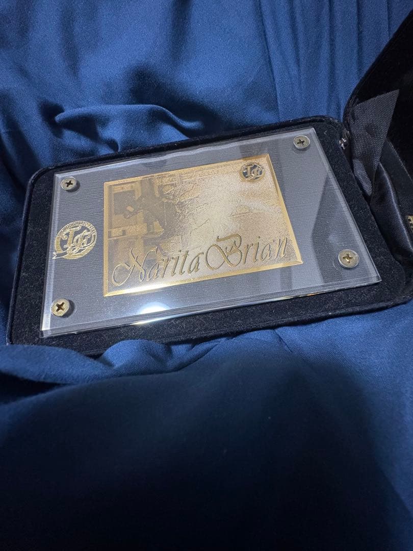 貴重　ナリタブライアン　300枚限定　レア　記念