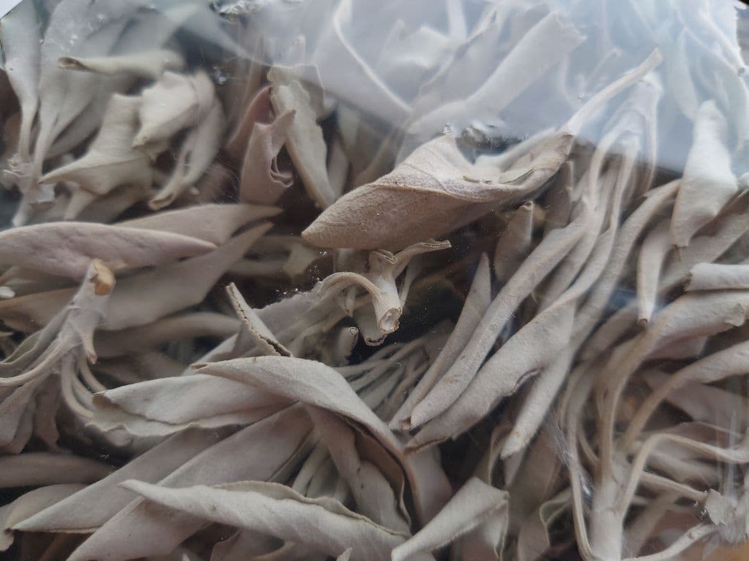 ホワイトセージ 枝付き リーフ 無農薬 １kg