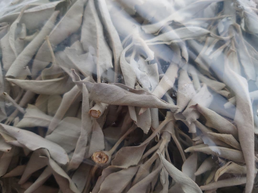 ホワイトセージ 枝付き リーフ 無農薬 １kg