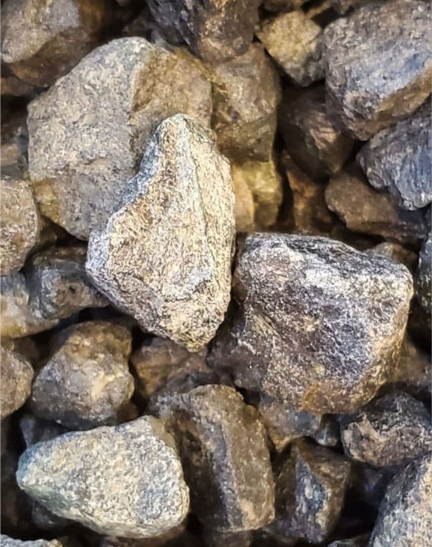 ぐんぐん岩 1㎏クリスマスsale中です。