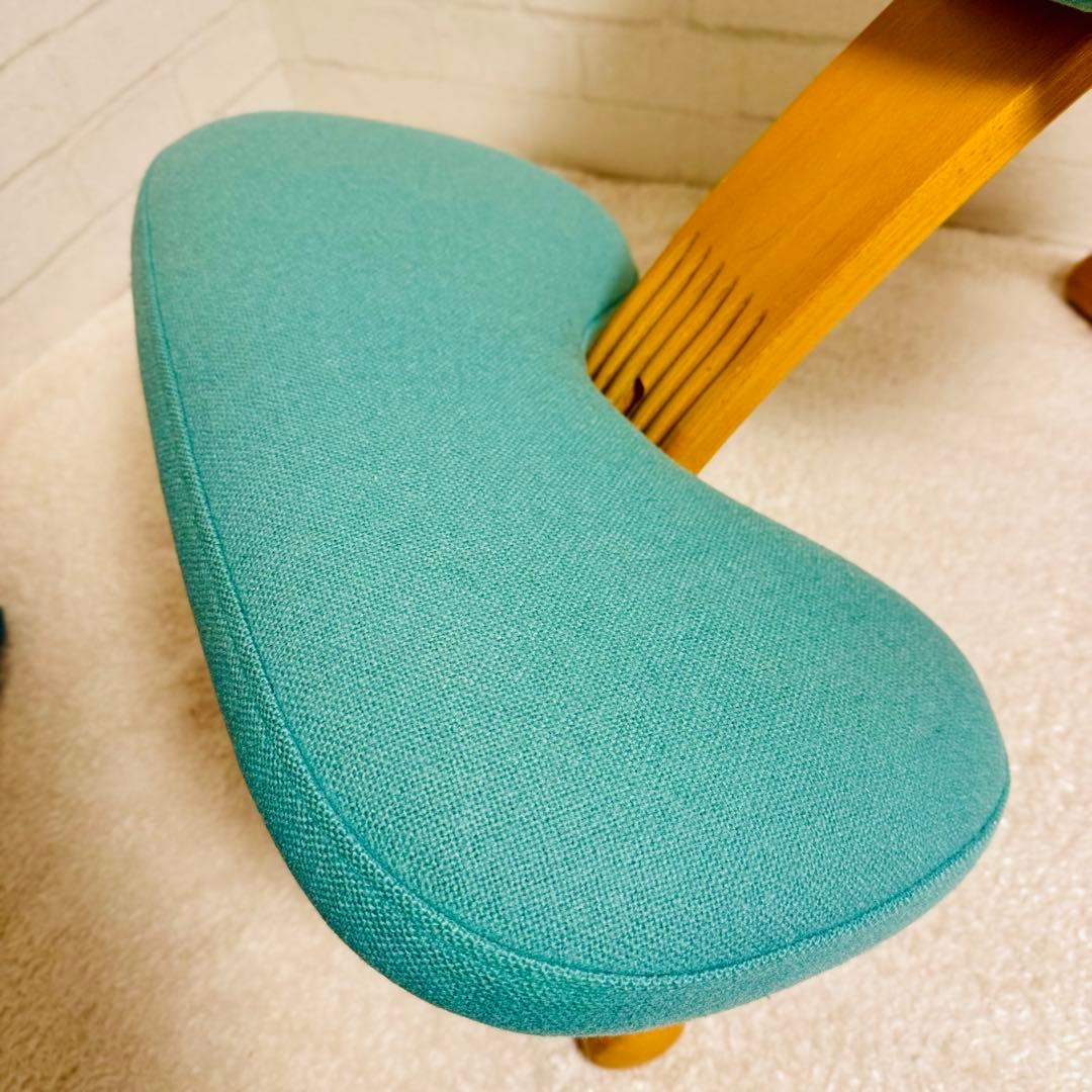 16日迄Rybo リボ バランスチェア バランスイージー シートカバー付属！