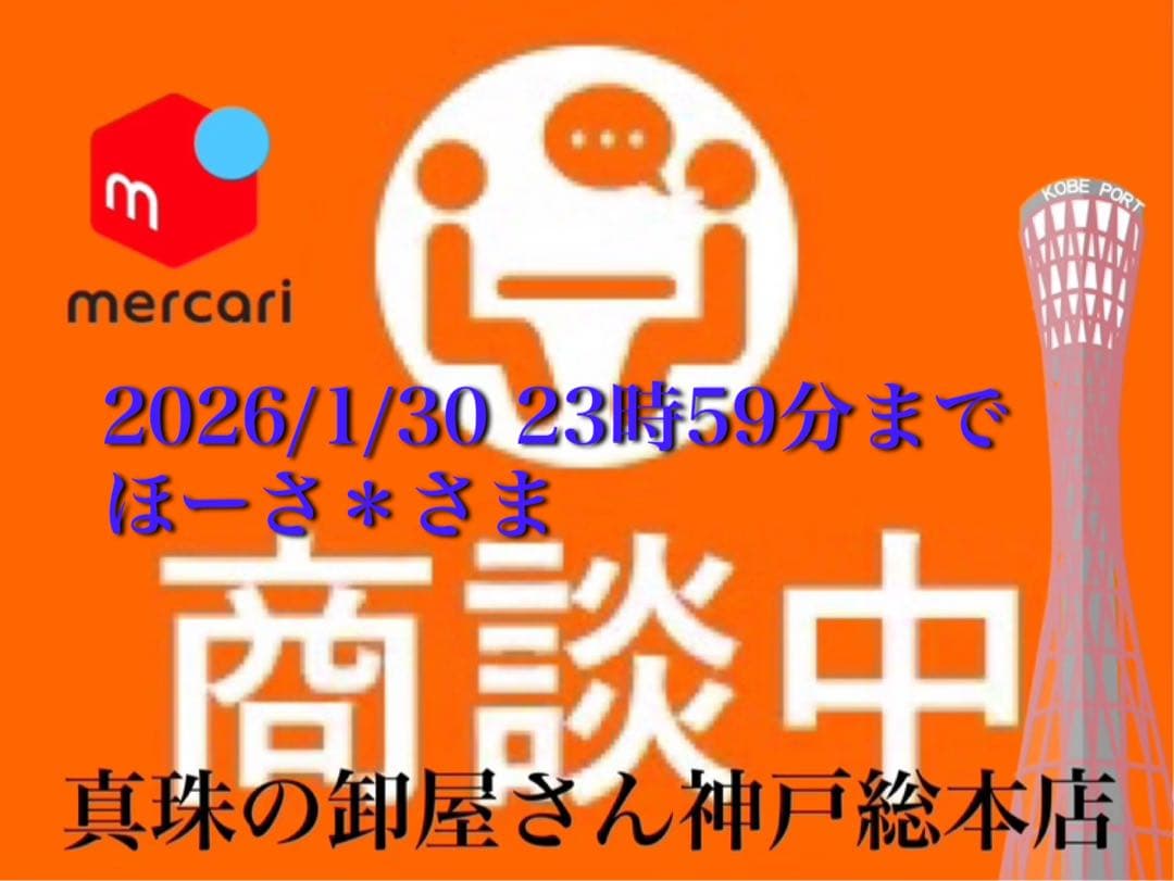 【新品・百貨店商品・神戸総本店】S-708ほーさ＊さま　商談中ページ
