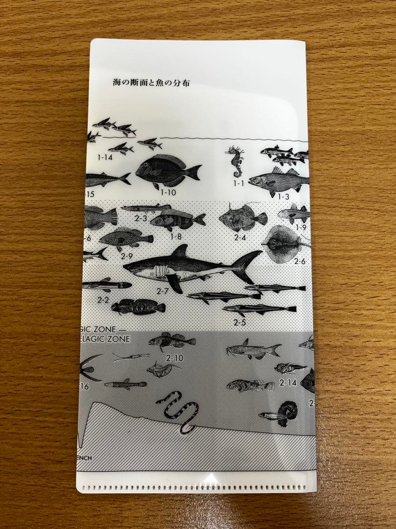 サカナクション　魚図鑑 （初回生産限定盤A）【2CD+Blu-ray+魚図鑑】