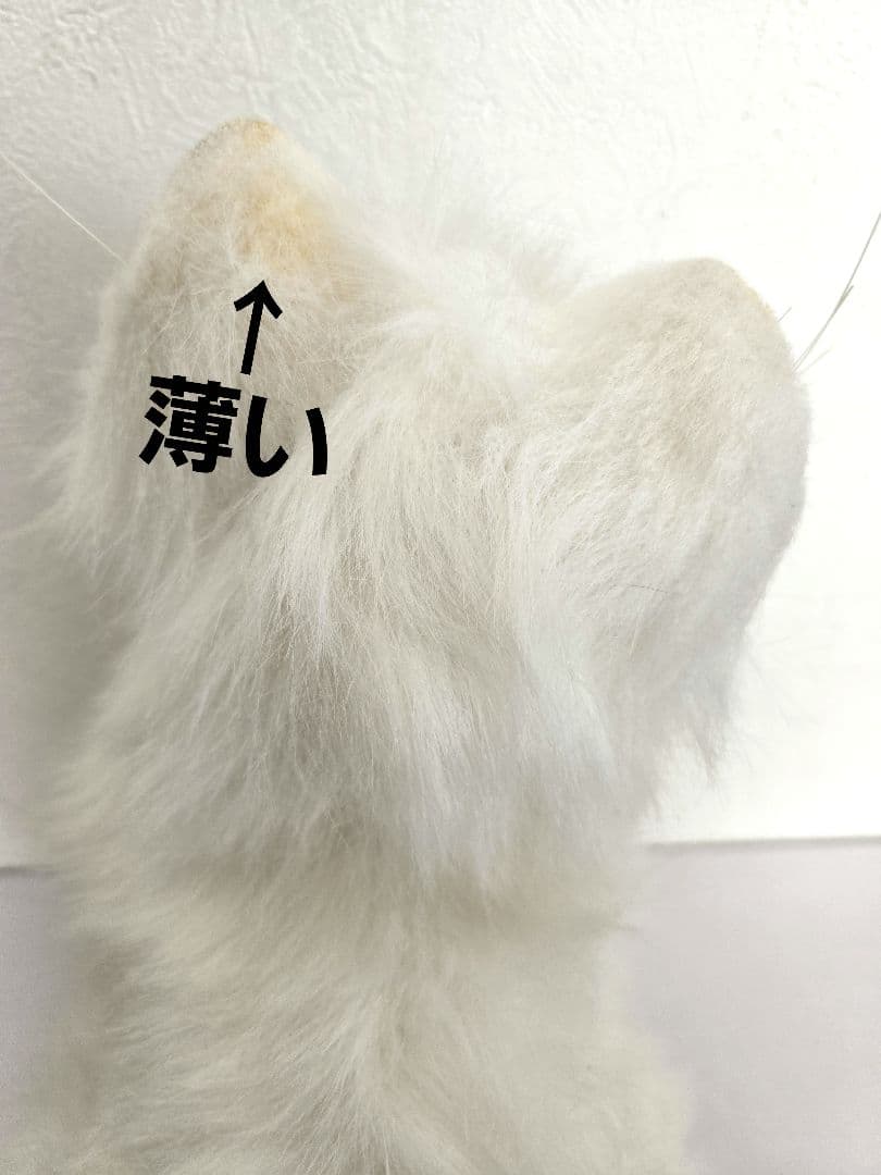 激レア！セガトイズ 夢ねこ スマイル バーチャルペット 中古品