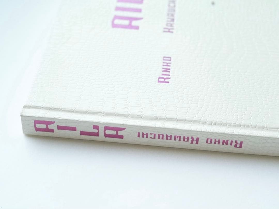 【希少品】川内倫子 写真集 アイーラ