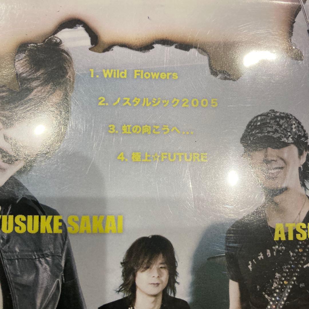 DVD RAMAR Wild Flownrs ゾイド　ラマー　バンド　入手困難