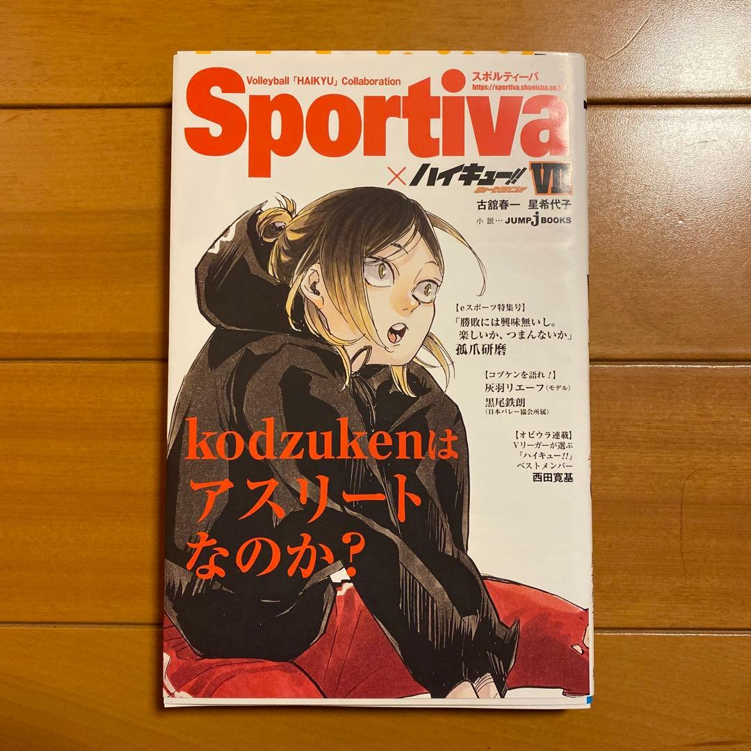 ハイキュー　ショーセツバン　全種　ビジュアルボード　セミコンプ