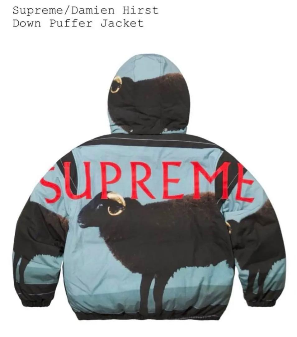 ジャケット・アウター Supreme Damien Hirst Down Puffer Jacket