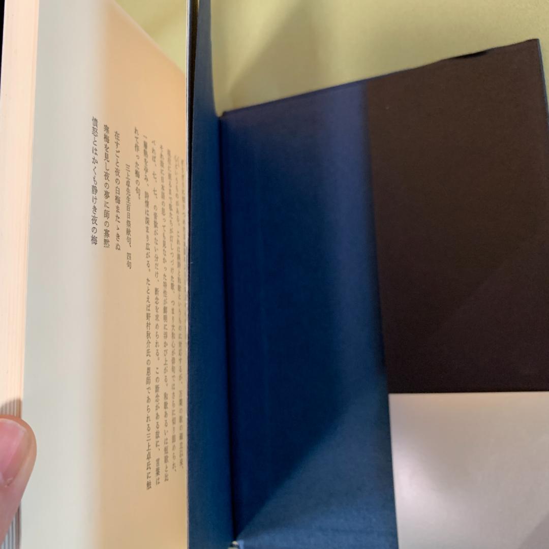 銀河蒼茫　野村秋介獄中句集【初版】