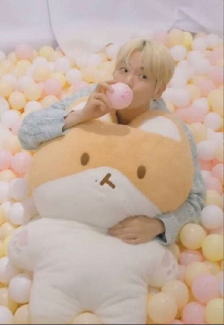 BAEKHYUN ベッキョン 大王トレギ　ぬいぐるみ　80cm