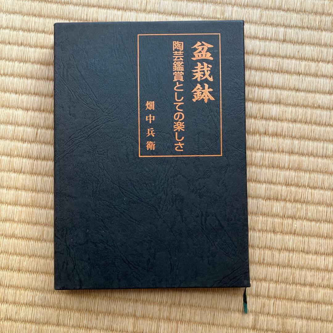 盆栽鉢　陶芸鑑賞としての楽しさ