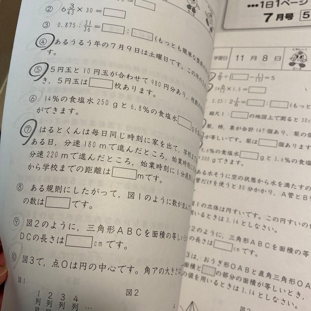 【未記入】SAPIX 5年生 基礎力トレーニング 1年分12冊