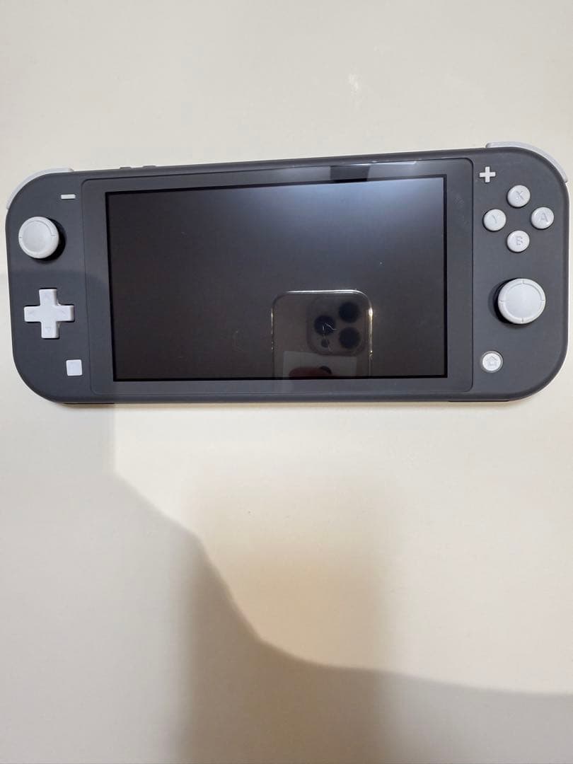 Nintendo Switch Lite グレー 本体 動作確認済み 問題なし