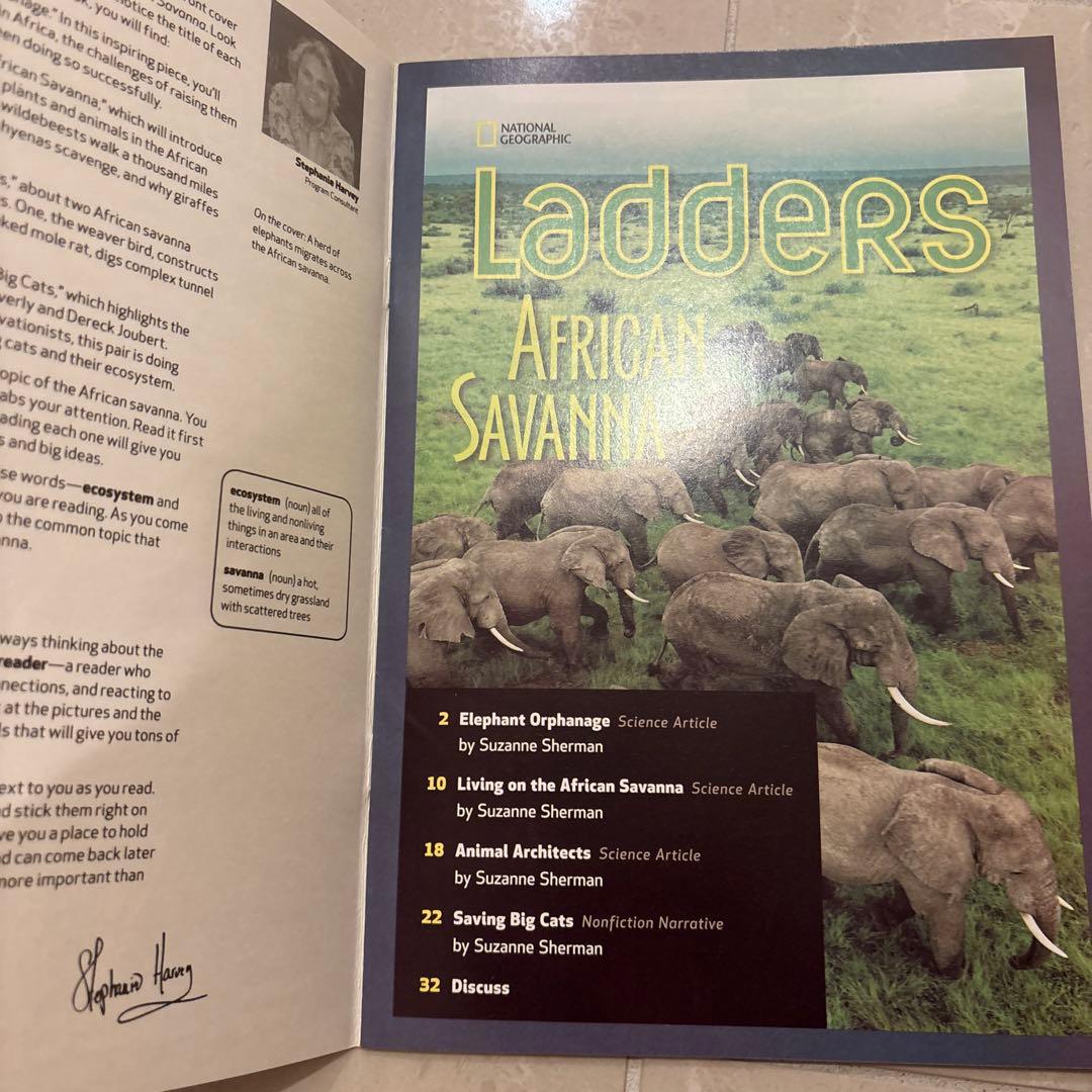 多読　Laddersシリーズ 学習参考書 まとめ　80冊 ラダーズ