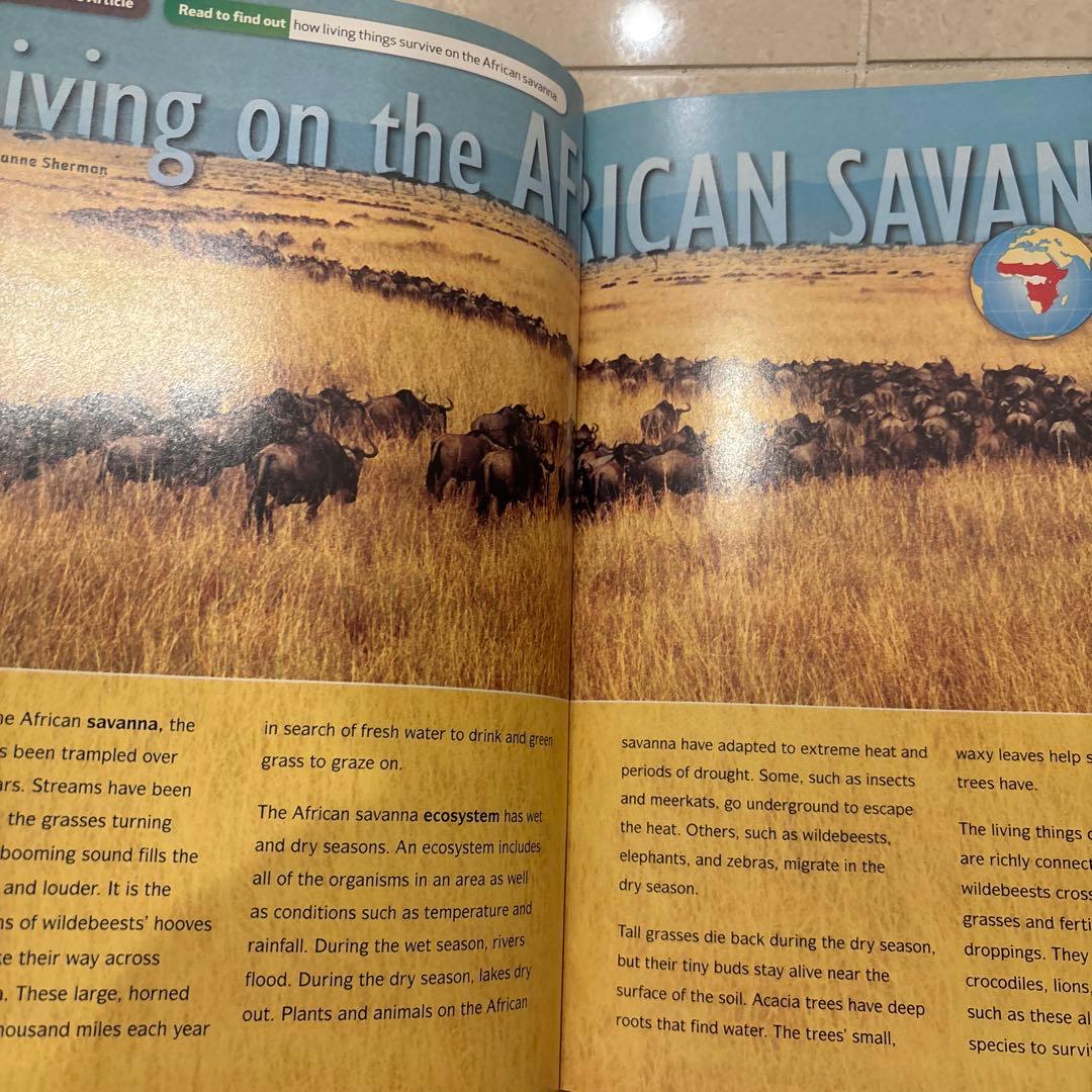 多読　Laddersシリーズ 学習参考書 まとめ　80冊 ラダーズ