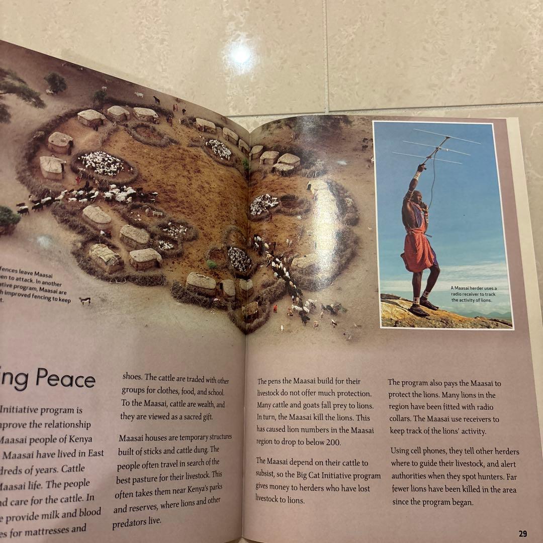 多読　Laddersシリーズ 学習参考書 まとめ　80冊 ラダーズ