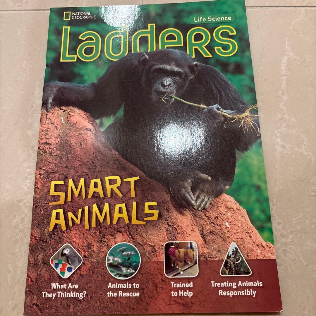 多読　Laddersシリーズ 学習参考書 まとめ　80冊 ラダーズ