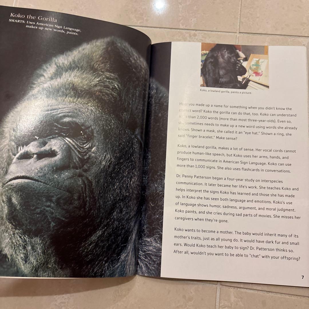 多読　Laddersシリーズ 学習参考書 まとめ　80冊 ラダーズ