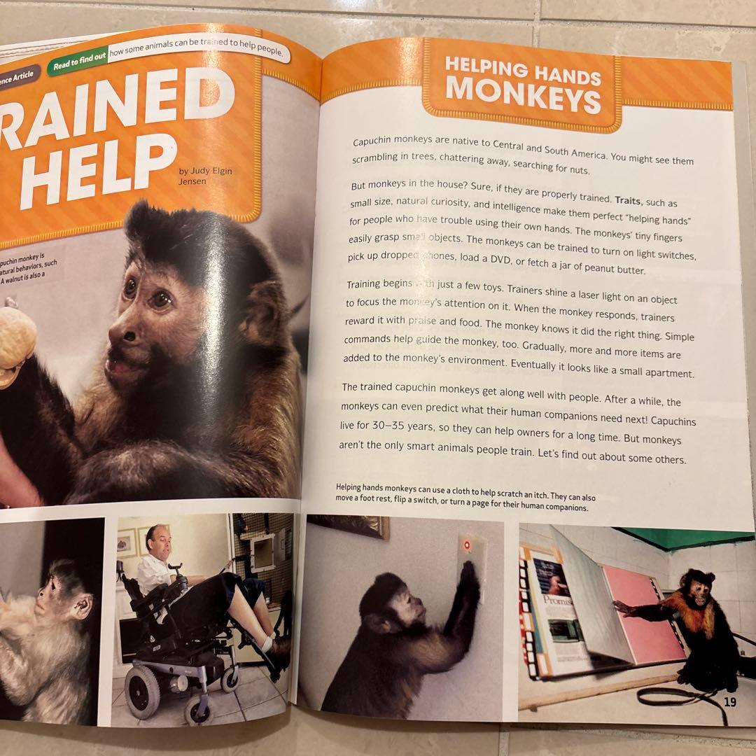 多読　Laddersシリーズ 学習参考書 まとめ　80冊 ラダーズ