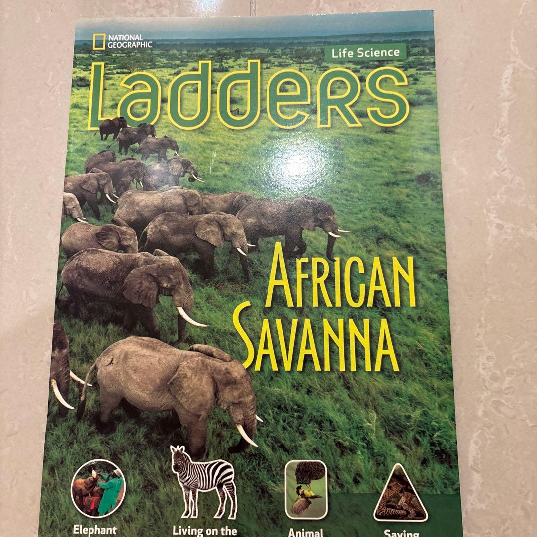 多読　Laddersシリーズ 学習参考書 まとめ　80冊 ラダーズ