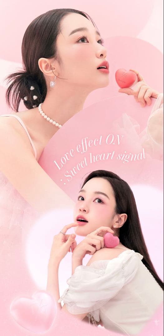 Dasique デイジーク　スフレカラーポット　12点セット