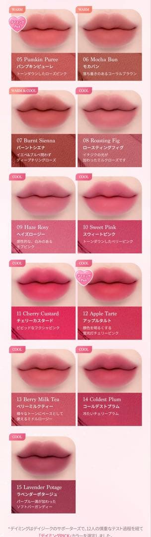 Dasique デイジーク　スフレカラーポット　12点セット