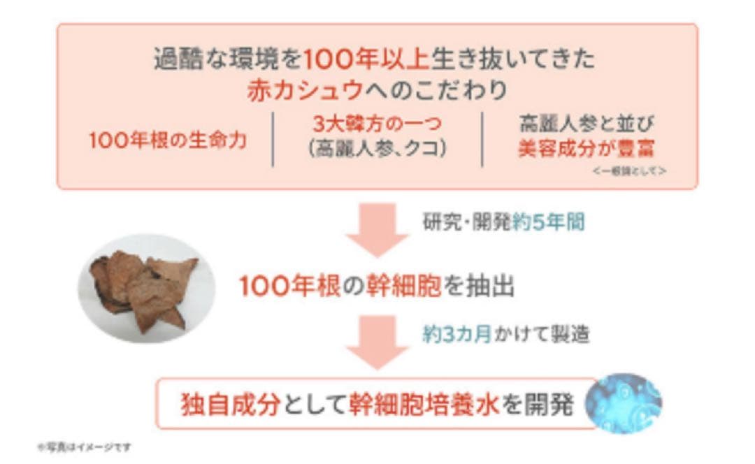 サイムダンプレミアム リフティングファンデーション　本体　レフィル２個&ブラシ