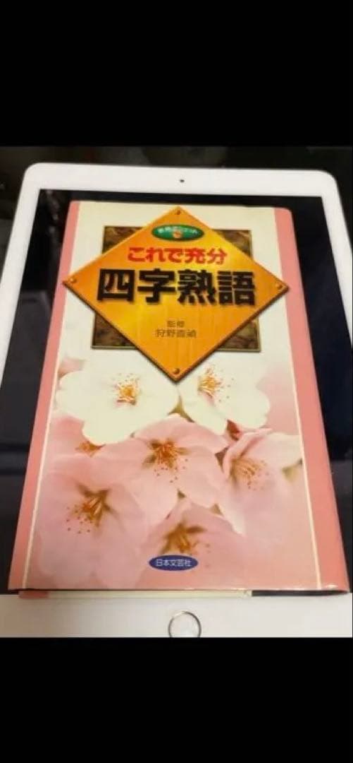 極希少品❗️これで充分四字熟語