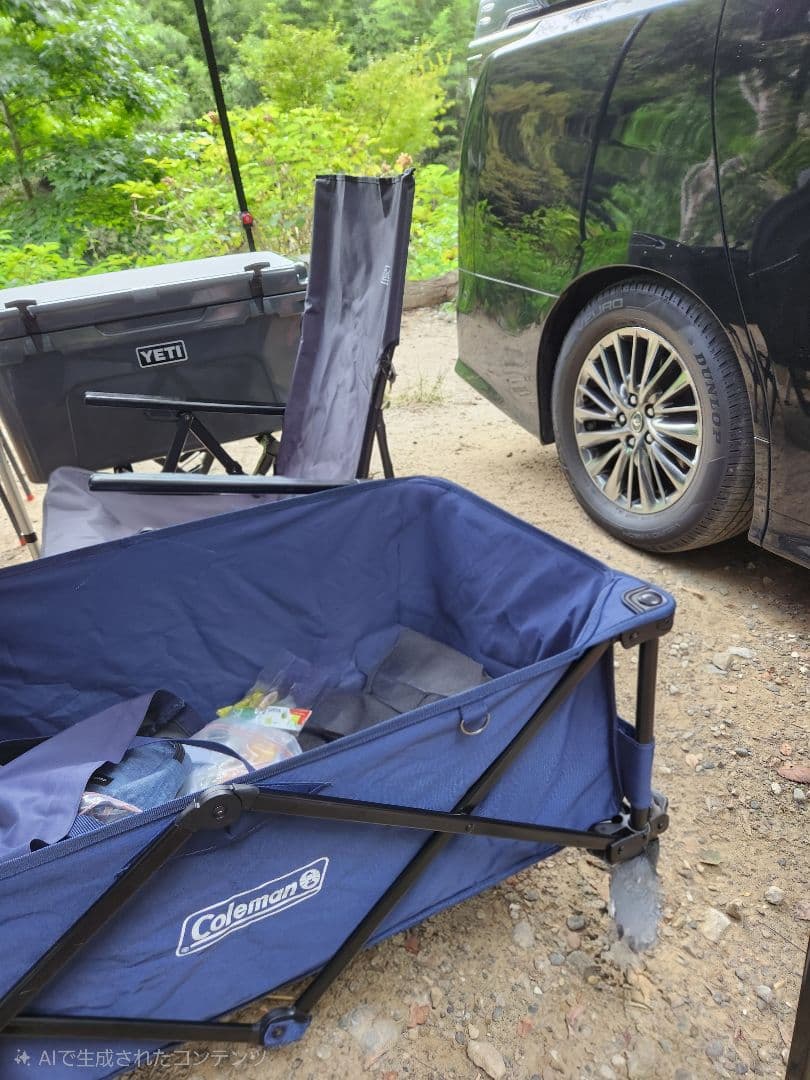 RS★R　ダウンサス T948w　30ヴェルファイアハイブリット後期