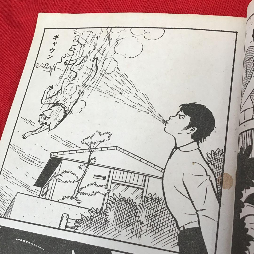 激レア　現代怪談　どくろ紅梅　谷ゆきお