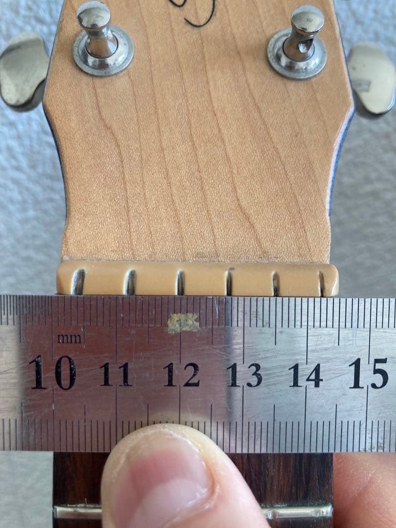 seagull amber trail cw folk sg eq アコギ