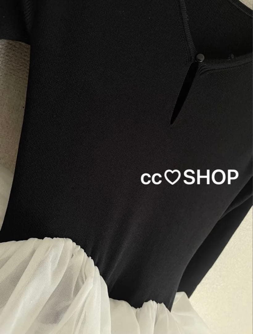 専用bibiy DELPHINE TULLE DRESS ひめか 山田優 着用