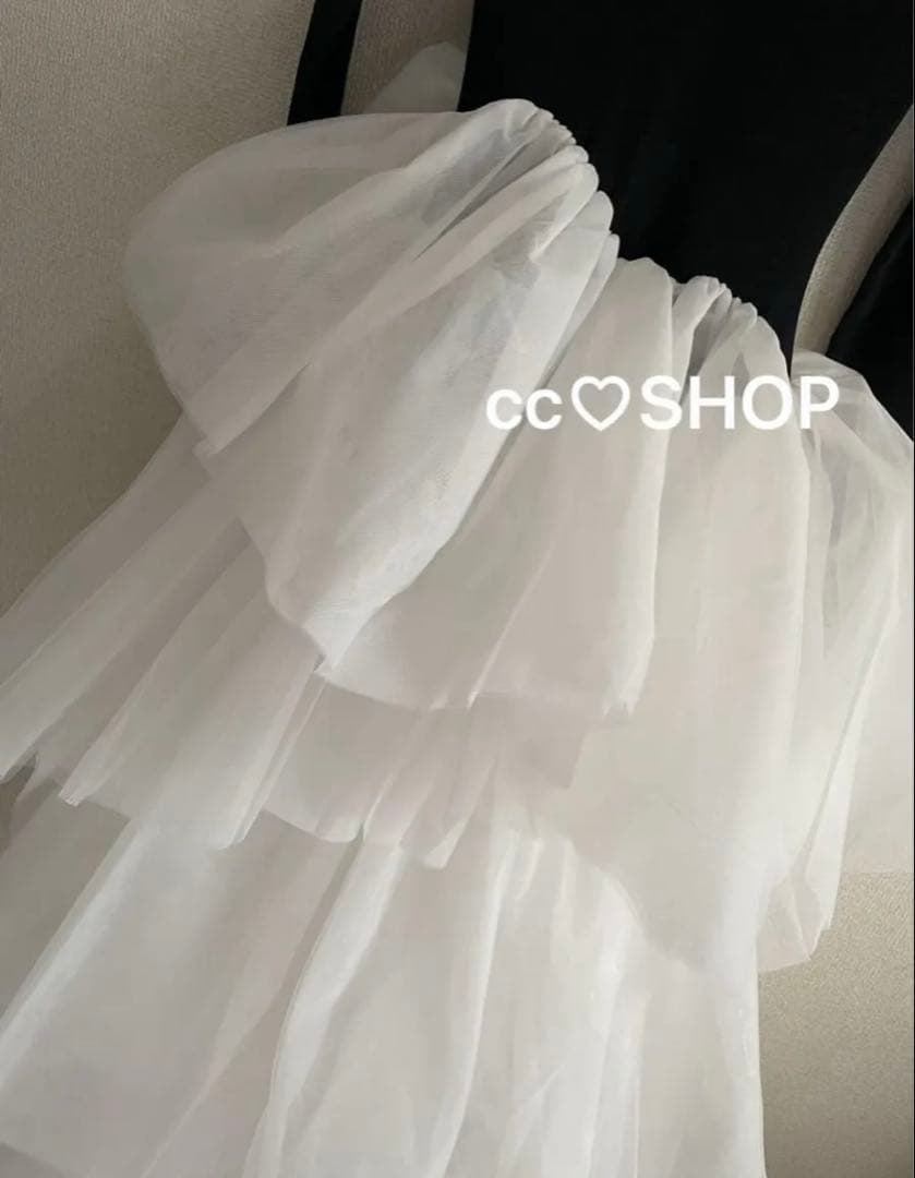 専用bibiy DELPHINE TULLE DRESS ひめか 山田優 着用