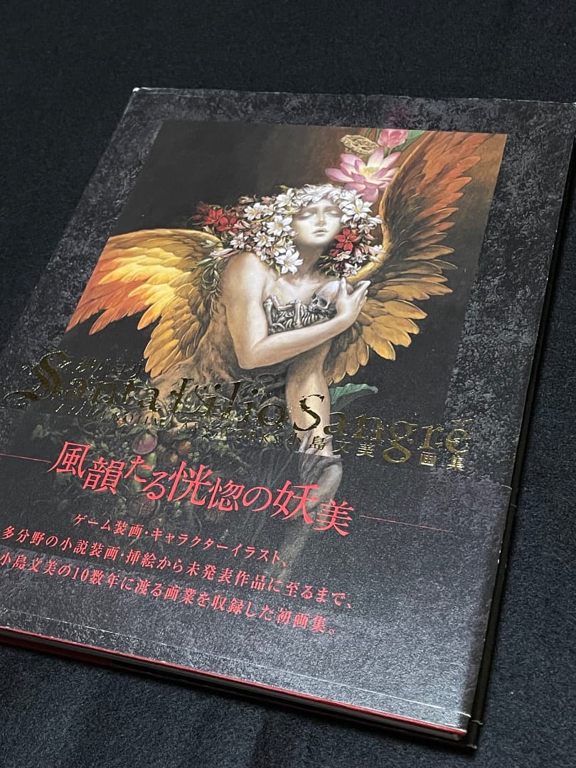 小島文美 画集 Santa Lilio Sangre 緋いユリ