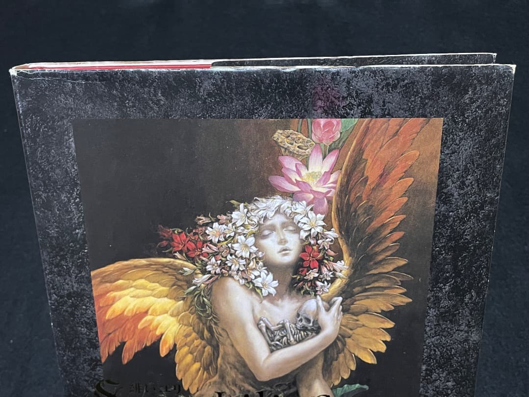 小島文美 画集 Santa Lilio Sangre 緋いユリ