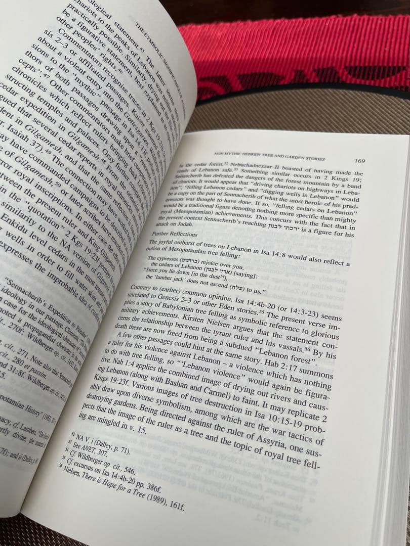 洋書 Echoes of Eden by T. Stordalen