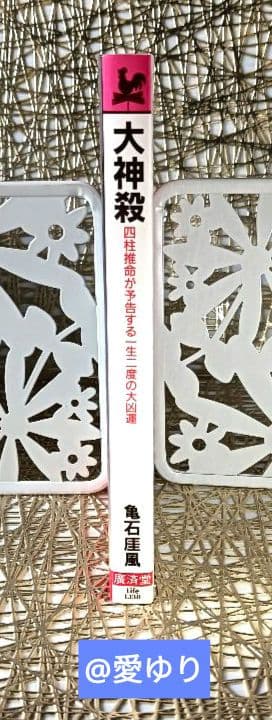 亀石厓風♦『大神殺』⭐特別付録有⭐日支秘干表⭐霊気因子一覧表♦四柱推命☘️大開運