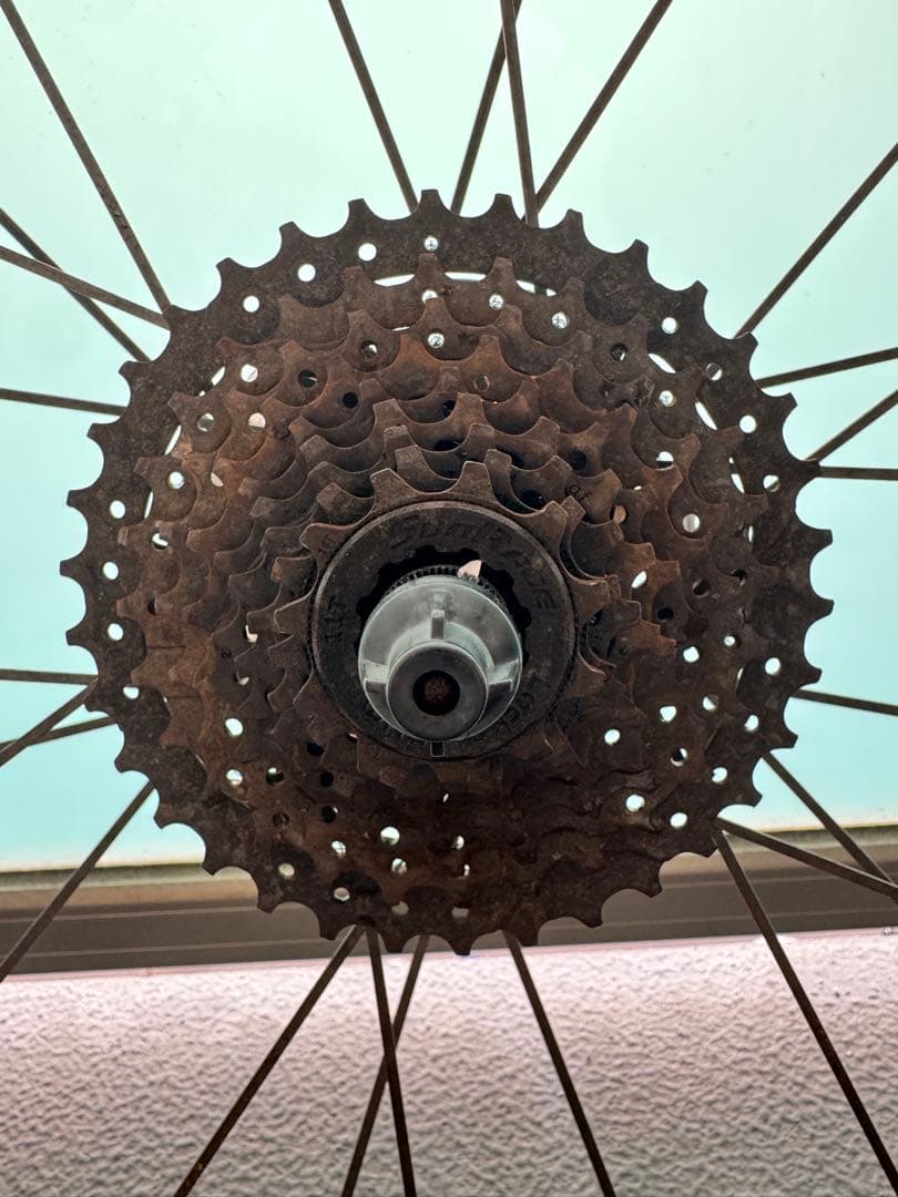 パーツ MAVIC AKSIUM ELITE EVO UST