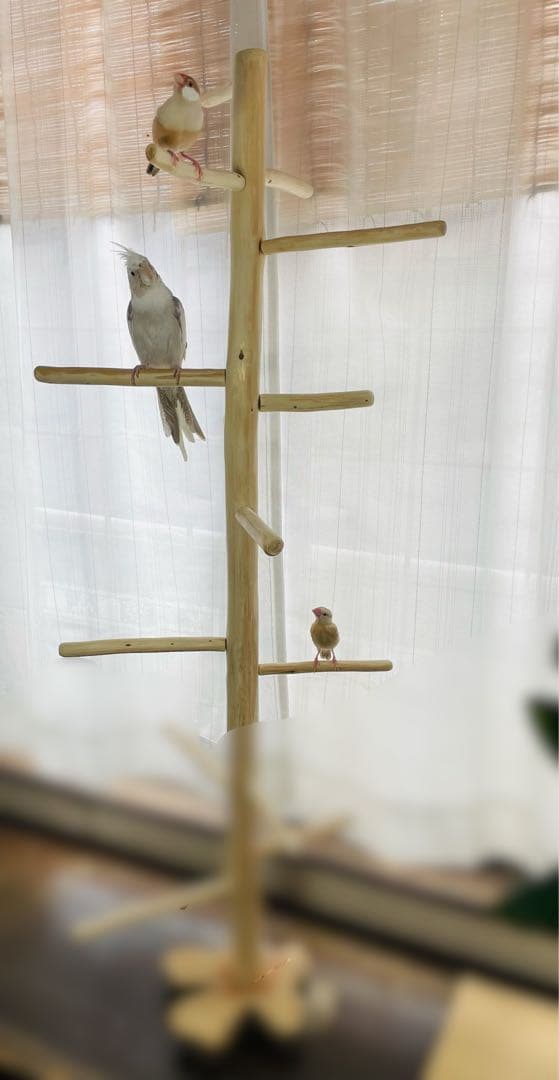 国産ヒノキ　鳥用止まり木　大型スタンド　約140センチ　小型中型インコ用