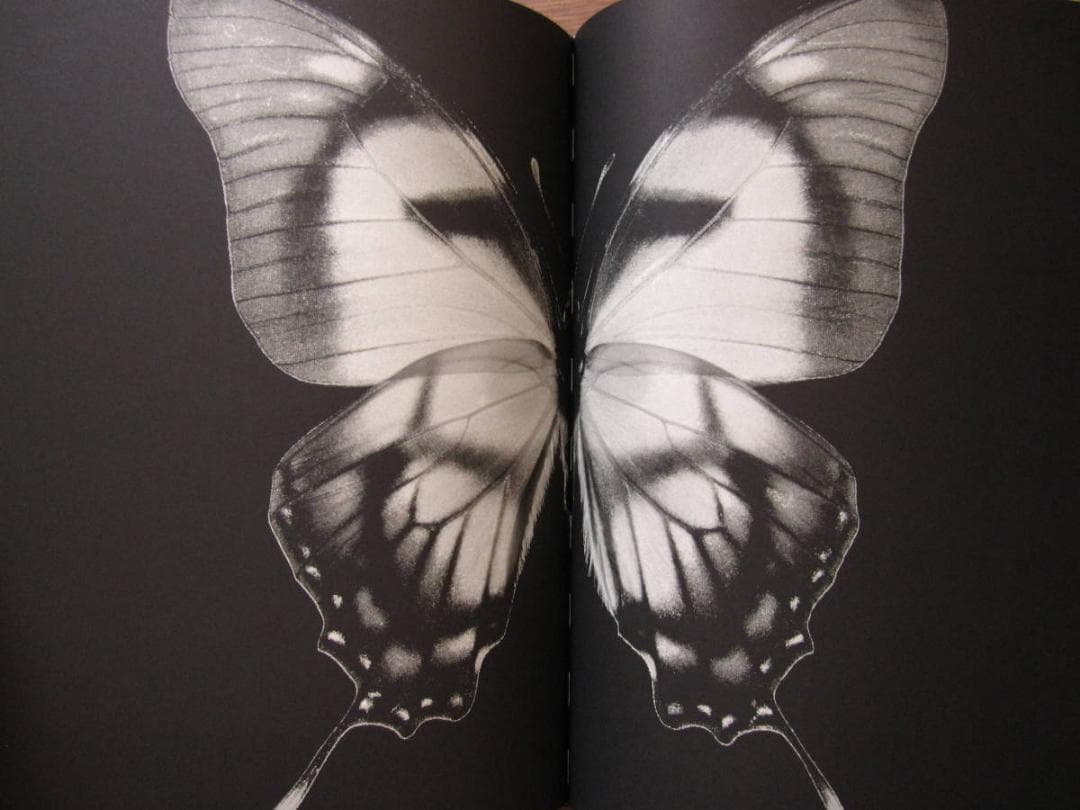 Contraluz / Juan Gatti : ホアン・ガッティ