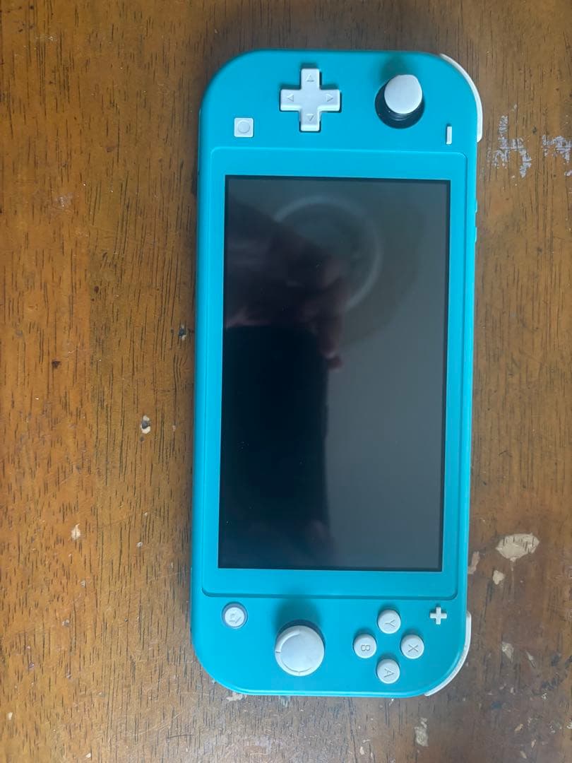 Switch Lite本体 充電器欠品 ピクミン1.2等 すぐに遊べるソフト付き