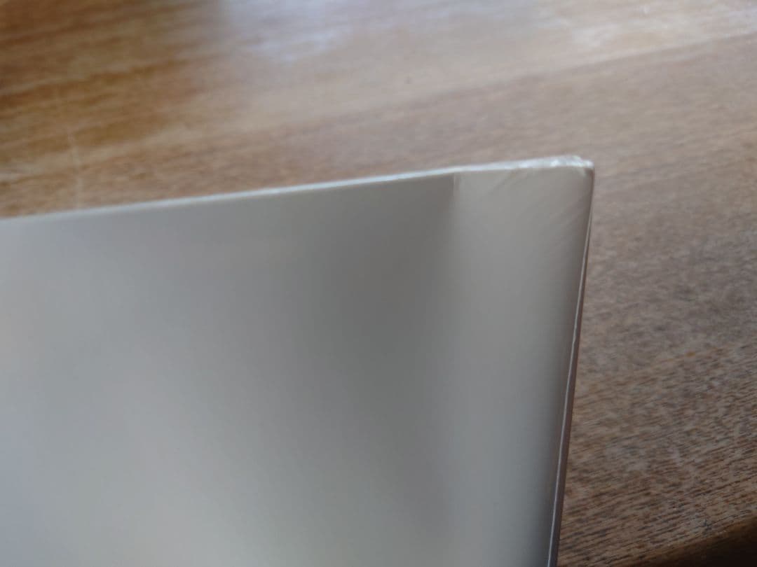 【新品未使用】Steady&Co. CHAMBERS レコード アナログ盤 LP