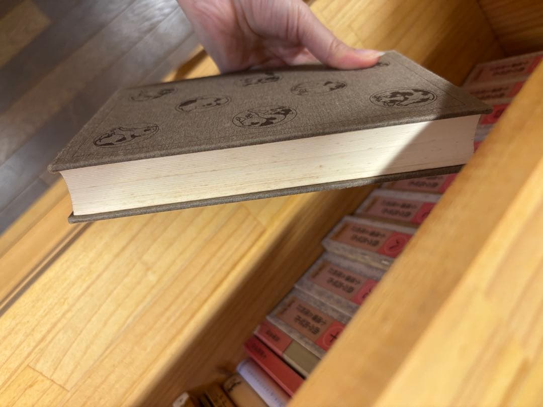 南総里見八犬伝　全10巻　曲亭馬琴 岩波書店