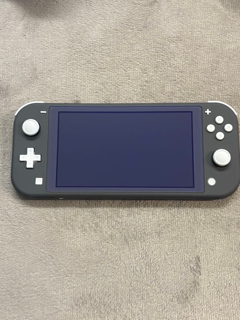 Nintendo Switch Lite グレー ガラスフィルム付き