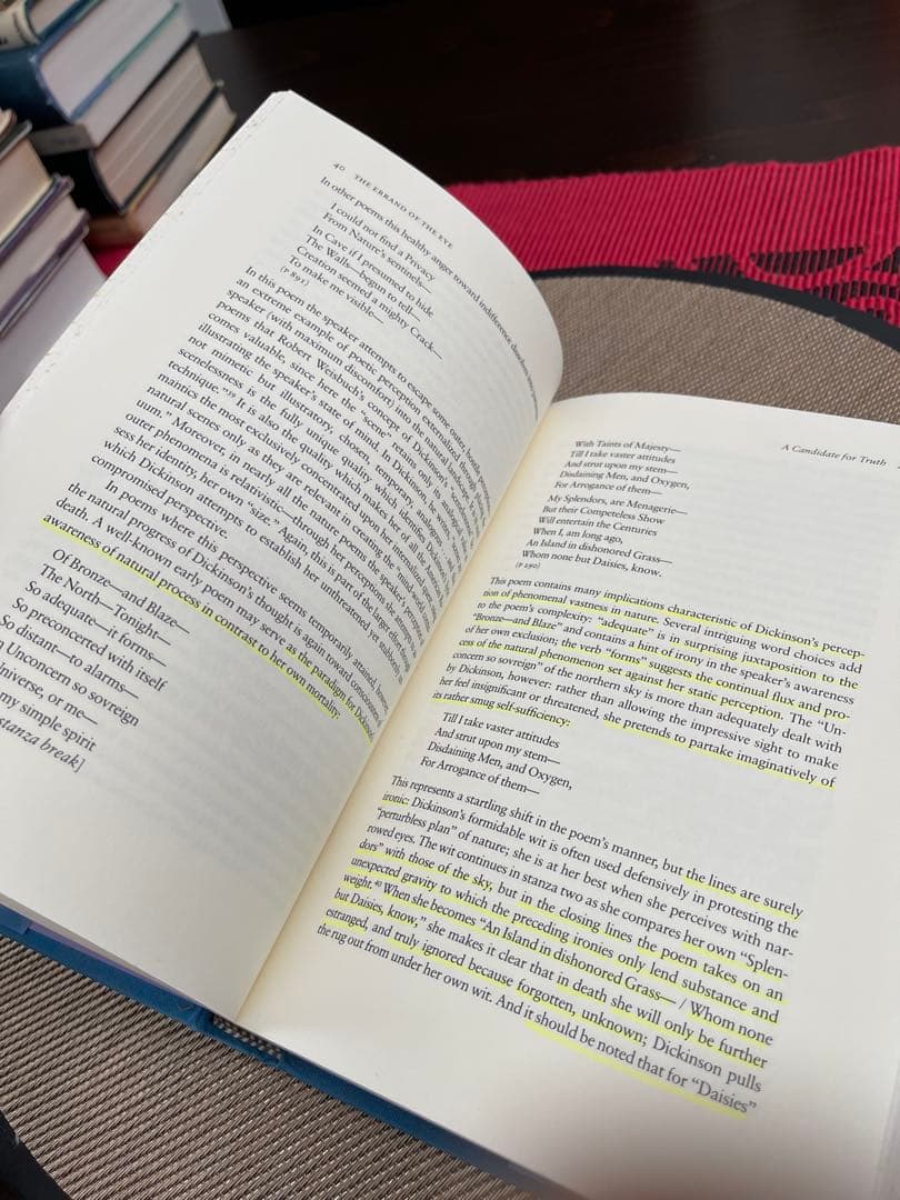 Emily Dickinson Perception and the Poet…