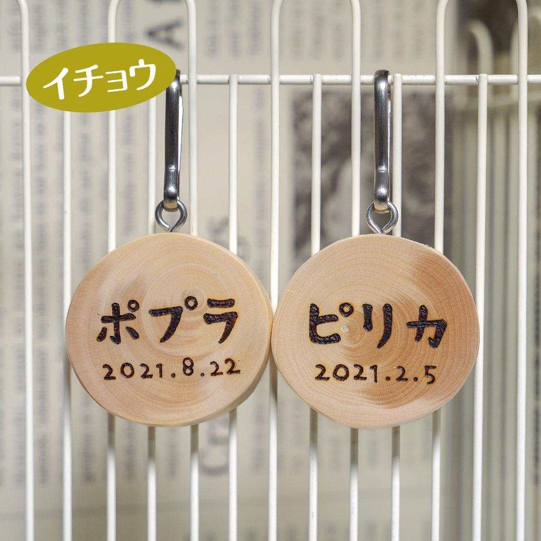 ①天然木のお名前プレート　６個 ②吊り橋スーパーロング